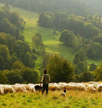 Land for Sale - 1.85 Acres in Upper East Region