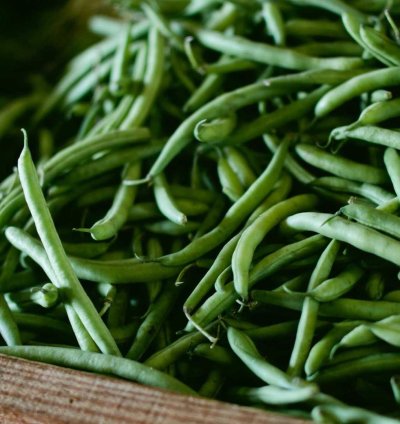 Land for Sale - 3.02 Acres in Bono Region