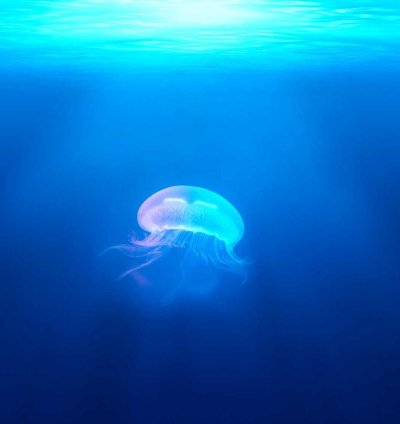 Land for Sale - 3.36 Acres in Central Region