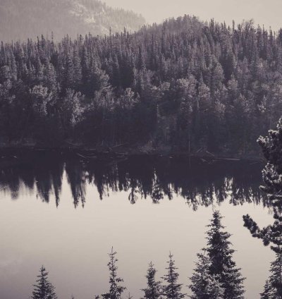 Land for Sale - 4.08 Acres in Brong Ahafo Region