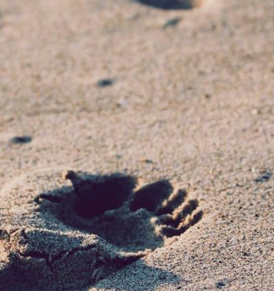 Land for Sale - 2.42 Acres in Upper West Region