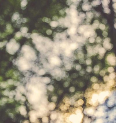 Land for Sale - 2.33 Acres in Savannah Region