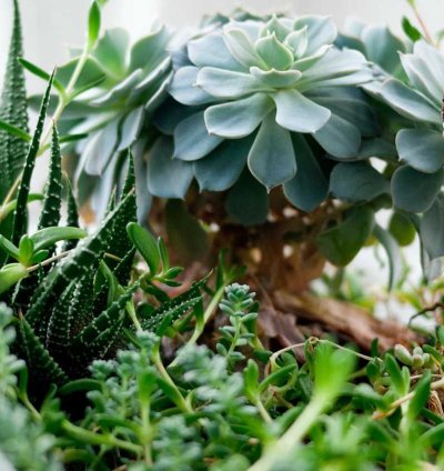 Land for Sale - 4.90 Acres in Oti Region