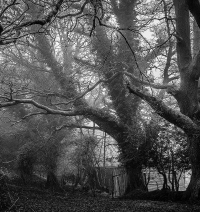 Land for Sale - 3.00 Acres in Ashanti Region