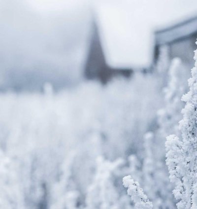 Land for Sale - 2.28 Acres in Upper West Region