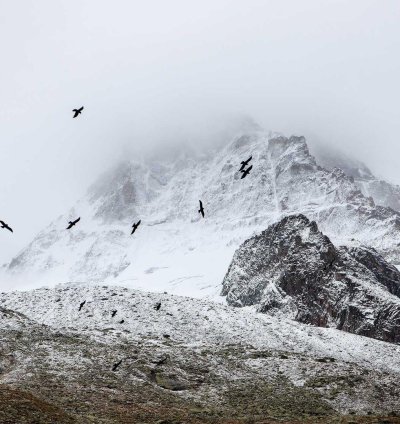 Land for Sale - 1.39 Acres in Upper East Region