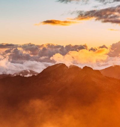 Ranch Commercial Plan - 3 Bedrooms