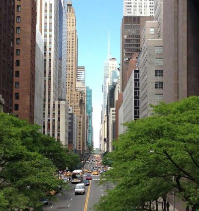 Contemporary Mixed Use Plan - 4 Bedrooms