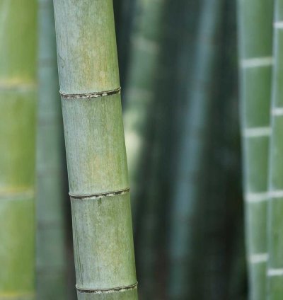 Construction Cost Estimate (Template)