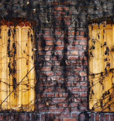 Construction Cost Estimate