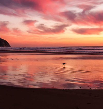 Construction Cost Estimate (Template)