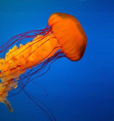 Construction Cost Estimate