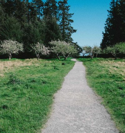 Construction Cost Estimate