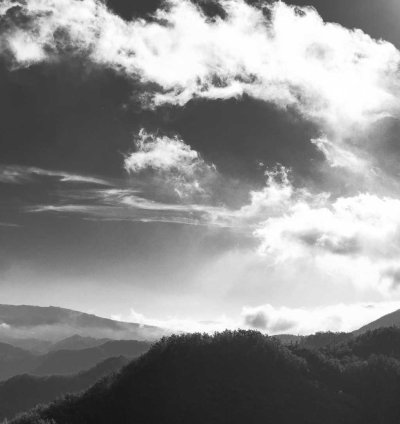 Construction Cost Estimate