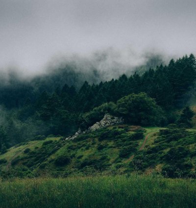 Construction Cost Estimate