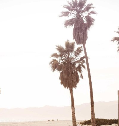 Construction Cost Estimate