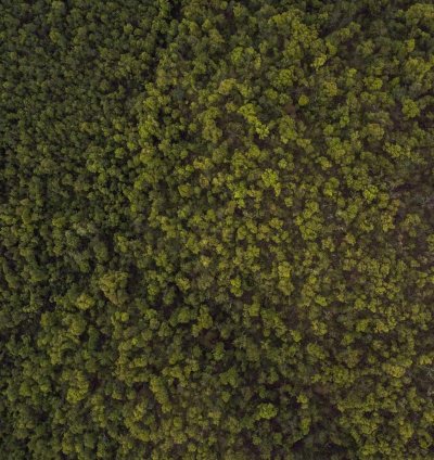 Land for Sale - 3.79 Acres in Oti Region