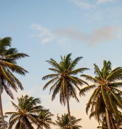 Land for Sale - 1.23 Acres in Western Region