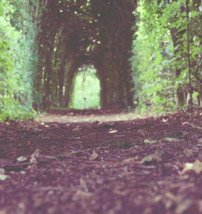 Land for Sale - 3.13 Acres in Upper East Region